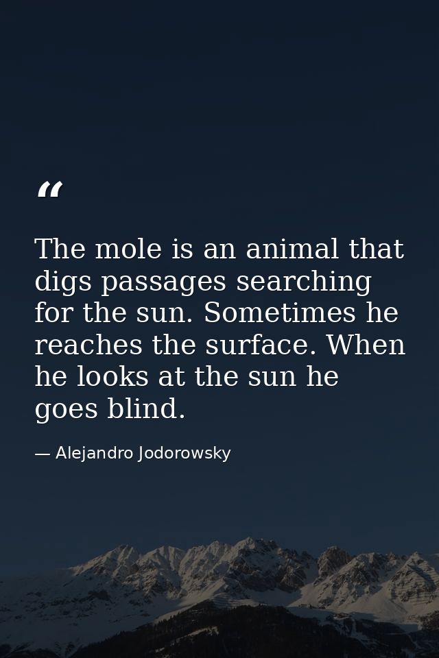 The mole is an animal that digs passages searching for the sun. Sometimes he reaches the surface. When he looks at the s — Alejandro Jodorowsky