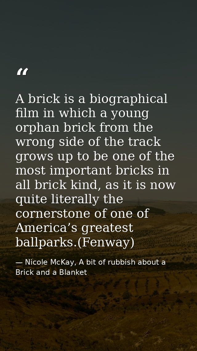 A brick is a biographical film in which a young orphan brick from the wrong side of the track grows up to be one of the  — Nicole McKay, A bit of rubbish about a Brick and a Blanket