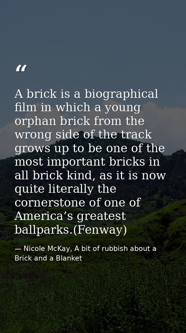A brick is a biographical film in which a young orphan brick from the wrong side of the track grows up to be one of the  — Nicole McKay, A bit of rubbish about a Brick and a Blanket