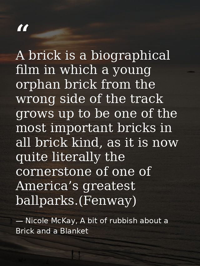 A brick is a biographical film in which a young orphan brick from the wrong side of the track grows up to be one of the  — Nicole McKay, A bit of rubbish about a Brick and a Blanket