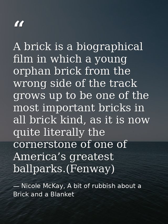 A brick is a biographical film in which a young orphan brick from the wrong side of the track grows up to be one of the  — Nicole McKay, A bit of rubbish about a Brick and a Blanket
