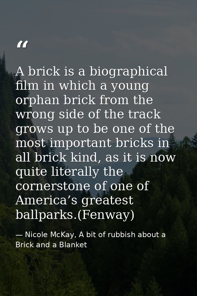 A brick is a biographical film in which a young orphan brick from the wrong side of the track grows up to be one of the  — Nicole McKay, A bit of rubbish about a Brick and a Blanket