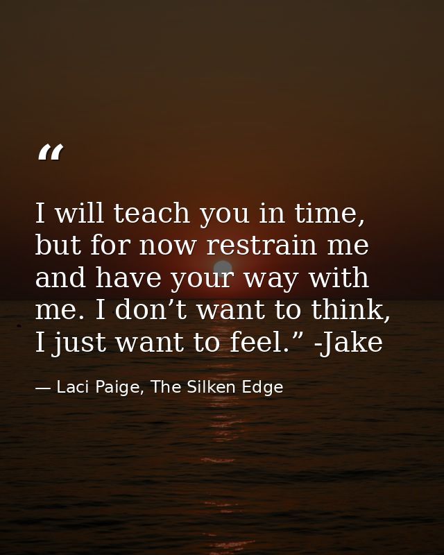 I will teach you in time, but for now restrain me and have your way with me. I don’t want to think, I just want to feel. — Laci Paige, The Silken Edge
