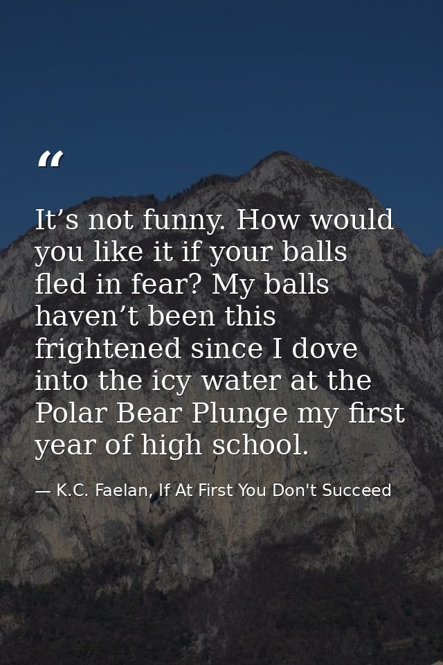 It’s not funny. How would you like it if your balls fled in fear? My balls haven’t been this frightened since I dove int — K.C. Faelan, If At First You Don't Succeed