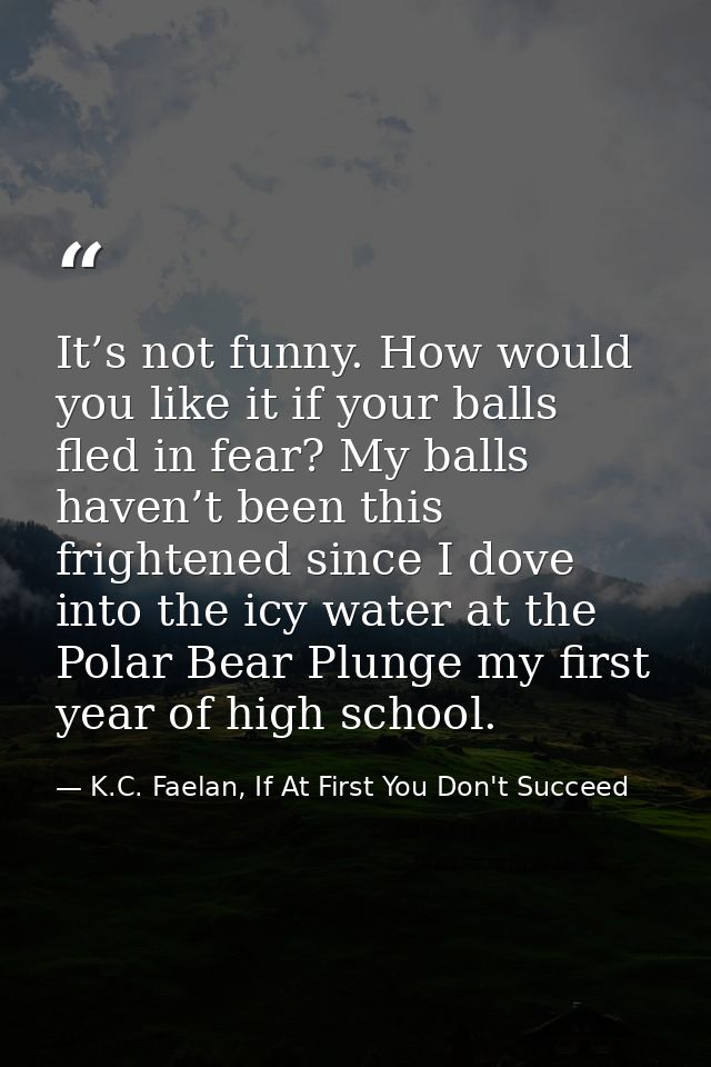 It’s not funny. How would you like it if your balls fled in fear? My balls haven’t been this frightened since I dove int — K.C. Faelan, If At First You Don't Succeed