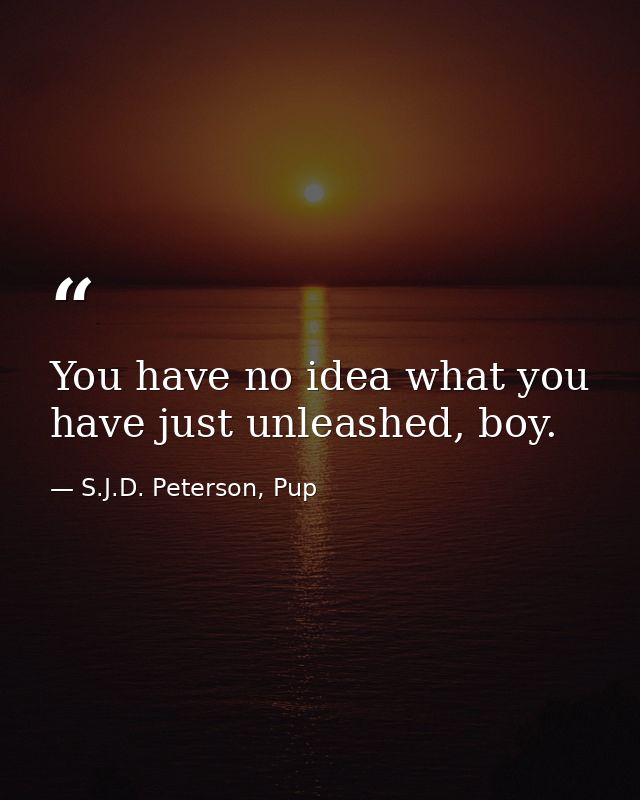 You have no idea what you have just unleashed, boy. — S.J.D. Peterson, Pup