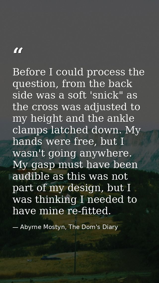 Before I could process the question, from the back side was a soft 'snick" as the cross was adjusted to my height and th — Abyrne Mostyn, The Dom's Diary