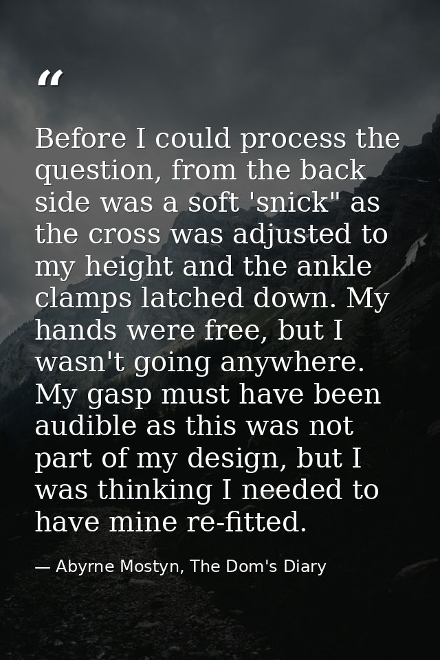 Before I could process the question, from the back side was a soft 'snick" as the cross was adjusted to my height and th — Abyrne Mostyn, The Dom's Diary