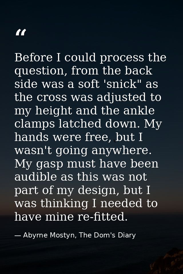 Before I could process the question, from the back side was a soft 'snick" as the cross was adjusted to my height and th — Abyrne Mostyn, The Dom's Diary