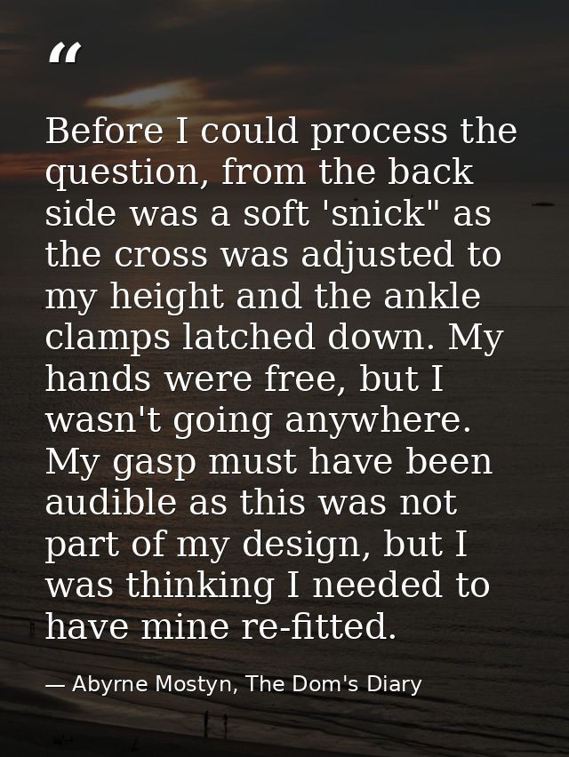 Before I could process the question, from the back side was a soft 'snick" as the cross was adjusted to my height and th — Abyrne Mostyn, The Dom's Diary