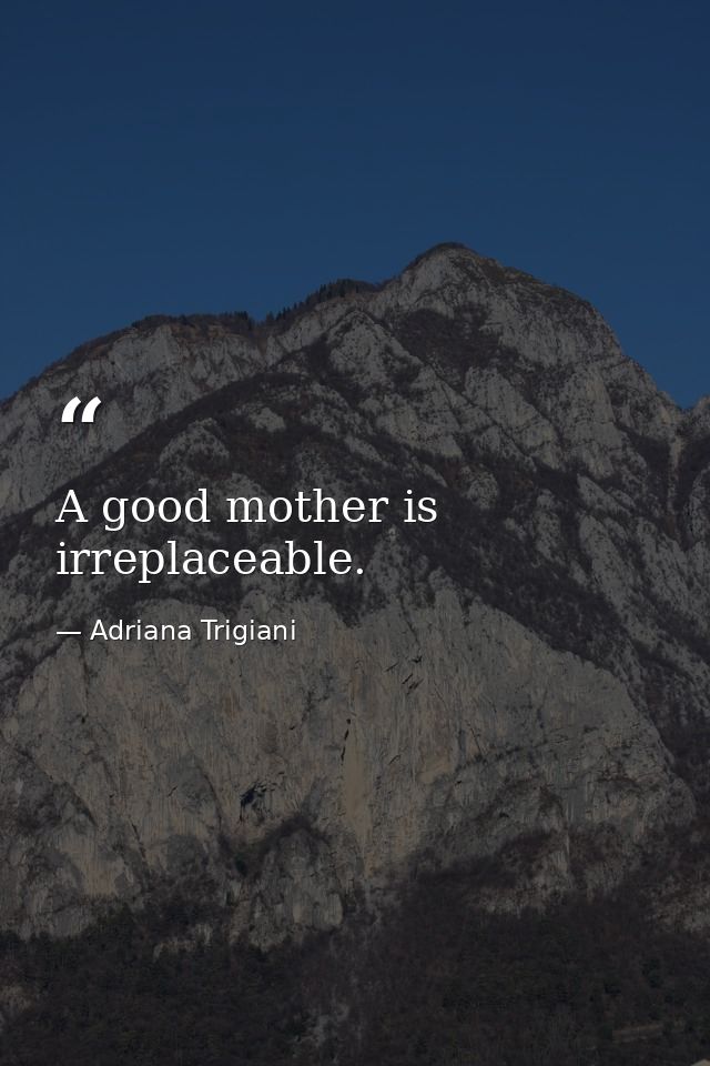 A good mother is irreplaceable. — Adriana Trigiani