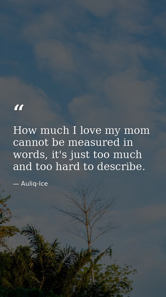 How much I love my mom cannot be measured in words, it's just too much and too hard to describe. — Auliq-Ice
