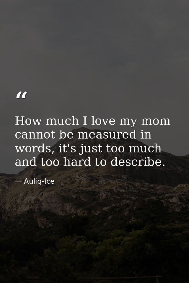 How much I love my mom cannot be measured in words, it's just too much and too hard to describe. — Auliq-Ice