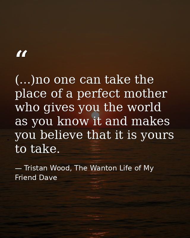 (...)no one can take the place of a perfect mother who gives you the world as you know it and makes you believe that it  — Tristan Wood, The Wanton Life of My Friend Dave