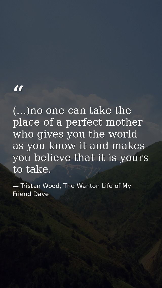 (...)no one can take the place of a perfect mother who gives you the world as you know it and makes you believe that it  — Tristan Wood, The Wanton Life of My Friend Dave