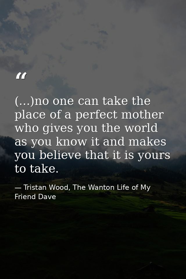 (...)no one can take the place of a perfect mother who gives you the world as you know it and makes you believe that it  — Tristan Wood, The Wanton Life of My Friend Dave