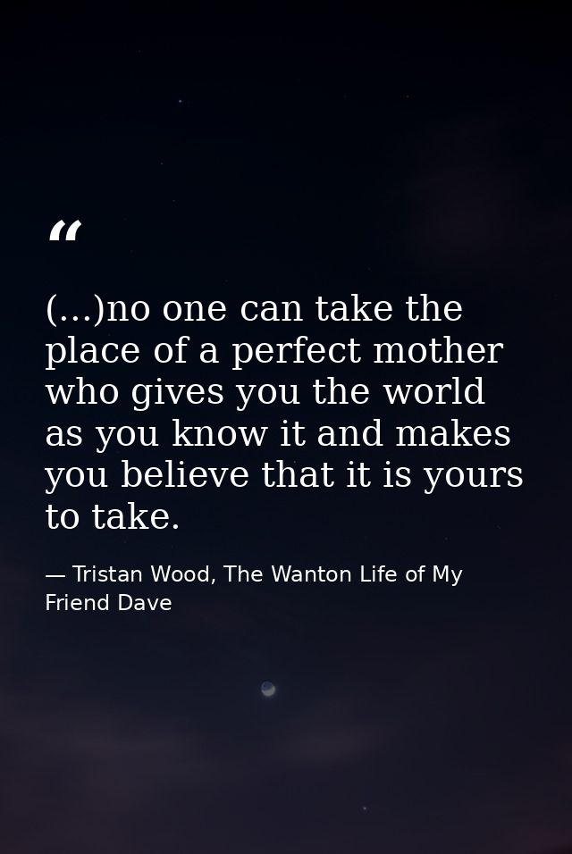 (...)no one can take the place of a perfect mother who gives you the world as you know it and makes you believe that it  — Tristan Wood, The Wanton Life of My Friend Dave