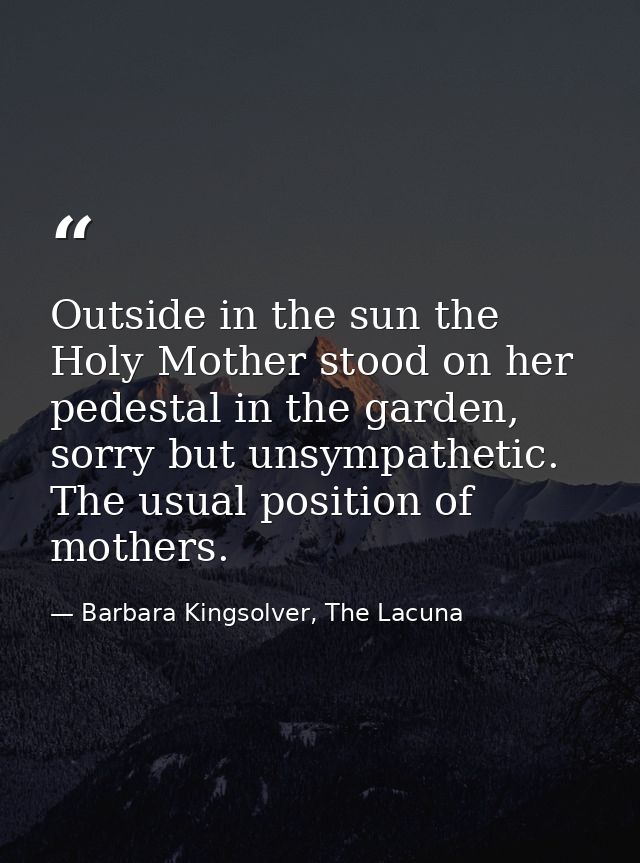 Outside in the sun the Holy Mother stood on her pedestal in the garden, sorry but unsympathetic. The usual position of m — Barbara Kingsolver, The Lacuna