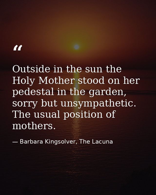 Outside in the sun the Holy Mother stood on her pedestal in the garden, sorry but unsympathetic. The usual position of m — Barbara Kingsolver, The Lacuna