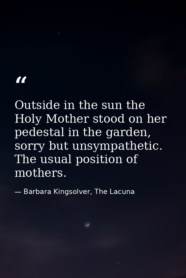 Outside in the sun the Holy Mother stood on her pedestal in the garden, sorry but unsympathetic. The usual position of m — Barbara Kingsolver, The Lacuna
