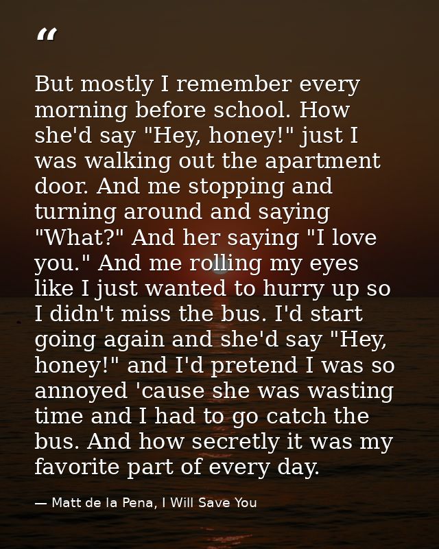 But mostly I remember every morning before school. How she'd say "Hey, honey!" just I was walking out the apartment door — Matt de la Pena, I Will Save You