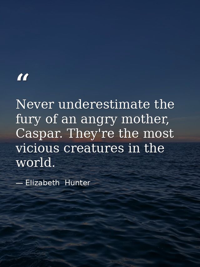 Never underestimate the fury of an angry mother, Caspar. They're the most vicious creatures in the world. — Elizabeth  Hunter