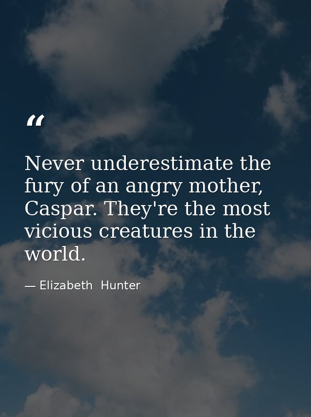 Never underestimate the fury of an angry mother, Caspar. They're the most vicious creatures in the world. — Elizabeth  Hunter
