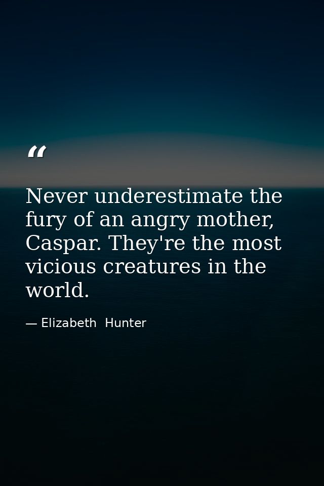 Never underestimate the fury of an angry mother, Caspar. They're the most vicious creatures in the world. — Elizabeth  Hunter