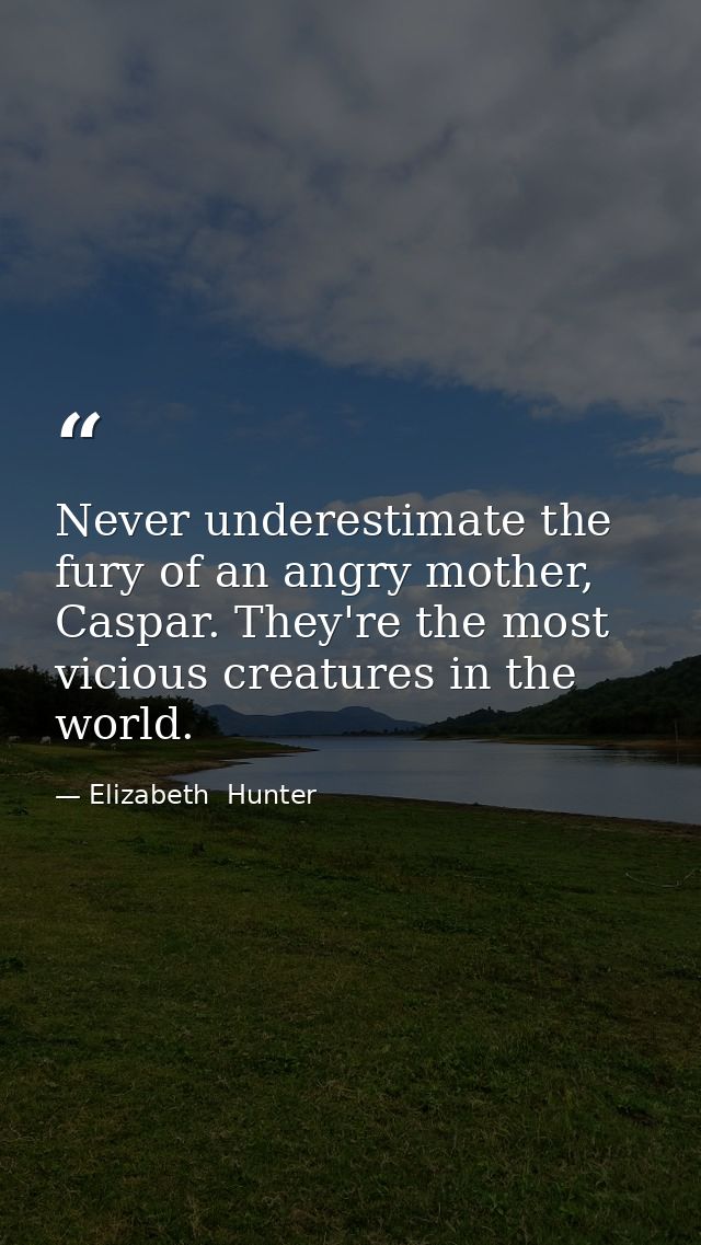Never underestimate the fury of an angry mother, Caspar. They're the most vicious creatures in the world. — Elizabeth  Hunter