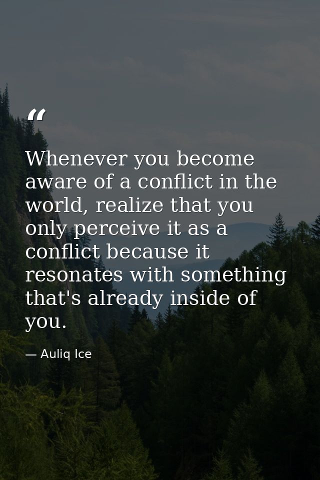 Whenever you become aware of a conflict in the world, realize that you only perceive it as a conflict because it resonat — Auliq Ice