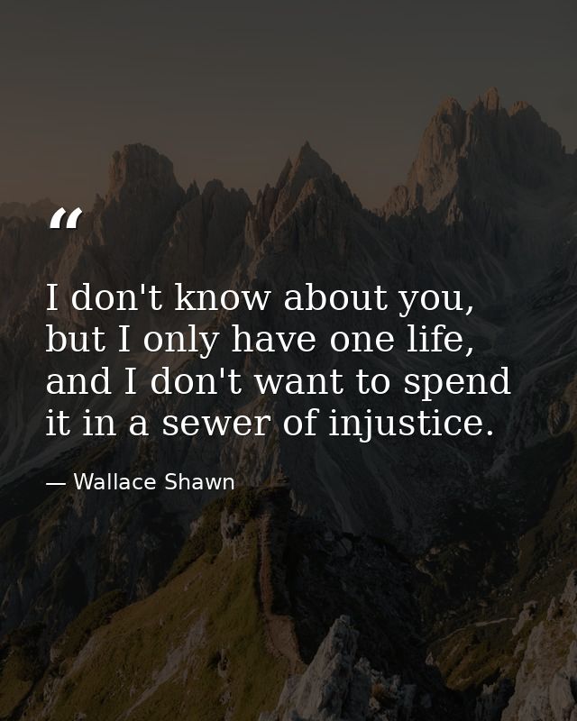 I don't know about you, but I only have one life, and I don't want to spend it in a sewer of injustice. — Wallace Shawn