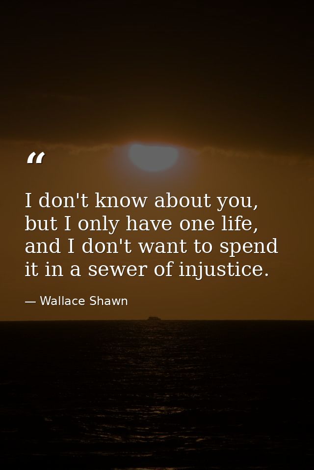 I don't know about you, but I only have one life, and I don't want to spend it in a sewer of injustice. — Wallace Shawn