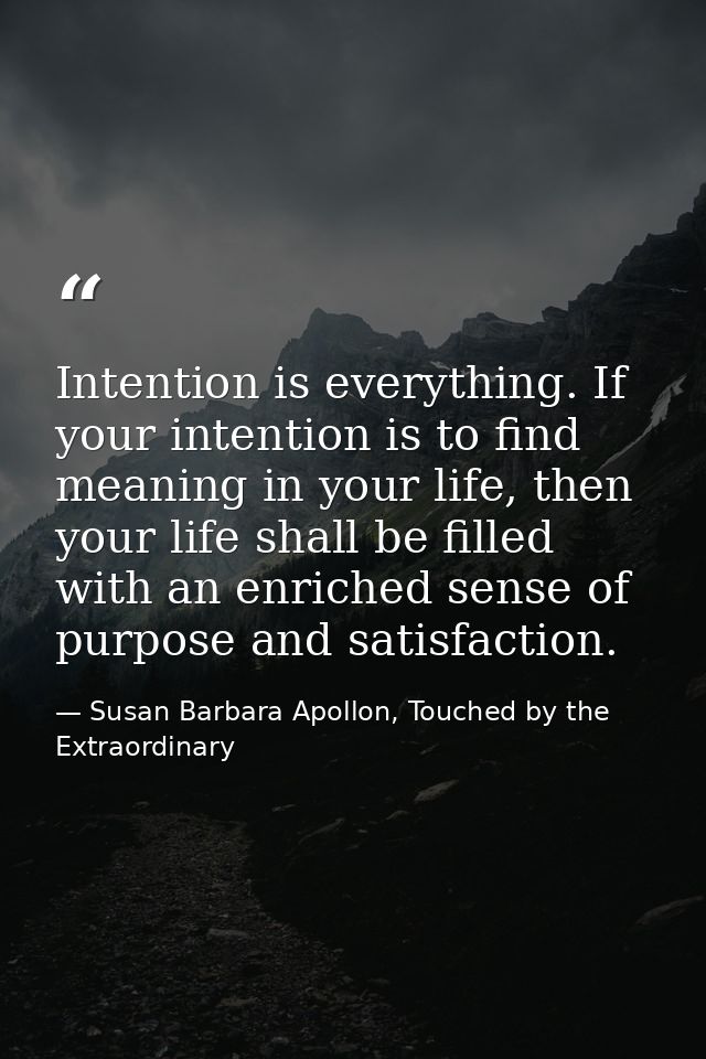 Intention is everything. If your intention is to find meaning in your life, then your life shall be filled with an enric — Susan Barbara Apollon, Touched by the Extraordinary