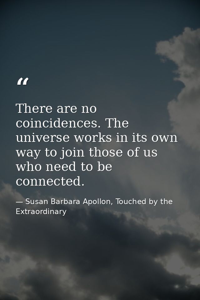 There are no coincidences. The universe works in its own way to join those of us who need to be connected. — Susan Barbara Apollon, Touched by the Extraordinary