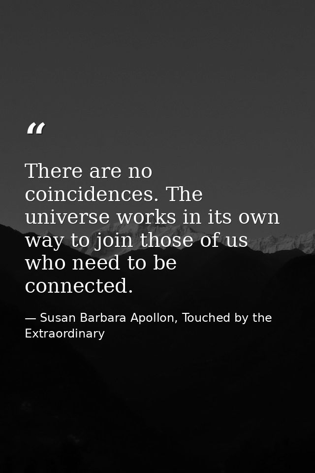 There are no coincidences. The universe works in its own way to join those of us who need to be connected. — Susan Barbara Apollon, Touched by the Extraordinary