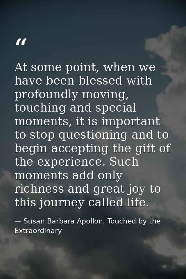 At some point, when we have been blessed with profoundly moving, touching and special moments, it is important to stop q — Susan Barbara Apollon, Touched by the Extraordinary