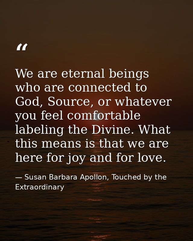 We are eternal beings who are connected to God, Source, or whatever you feel comfortable labeling the Divine. What this  — Susan Barbara Apollon, Touched by the Extraordinary