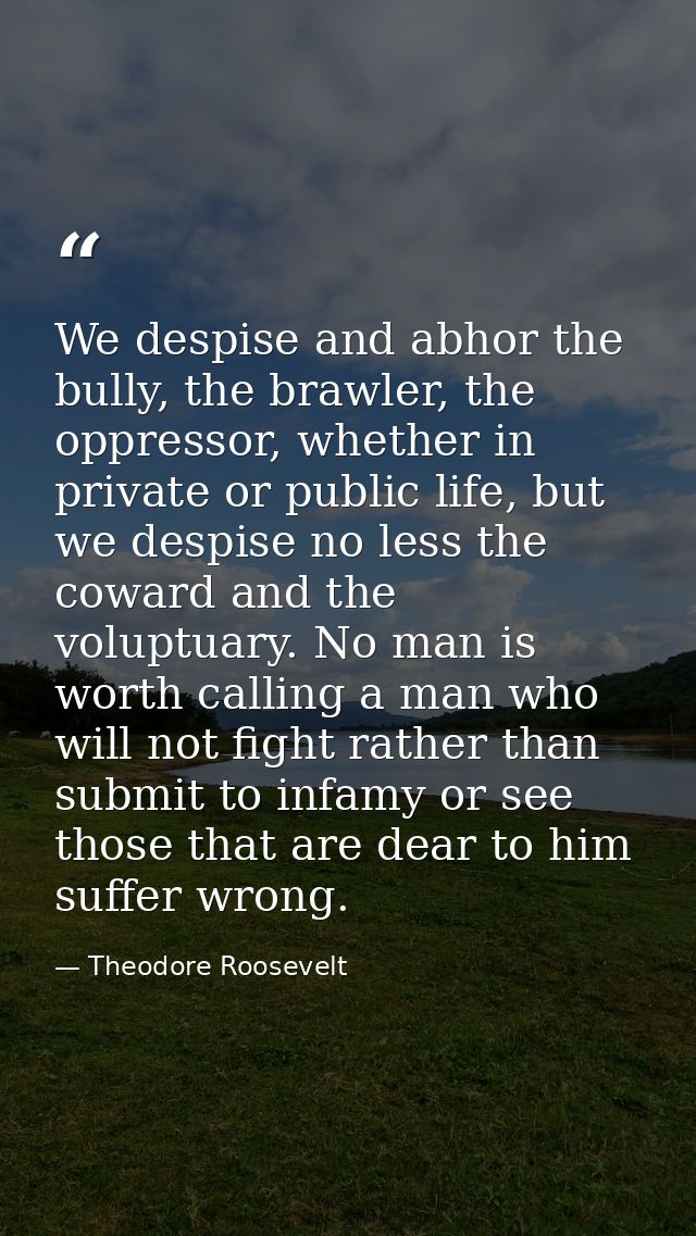 We despise and abhor the bully, the brawler, the oppressor, whether in private or public life, but we despise no less th — Theodore Roosevelt
