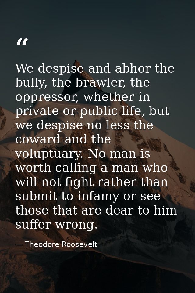 We despise and abhor the bully, the brawler, the oppressor, whether in private or public life, but we despise no less th — Theodore Roosevelt
