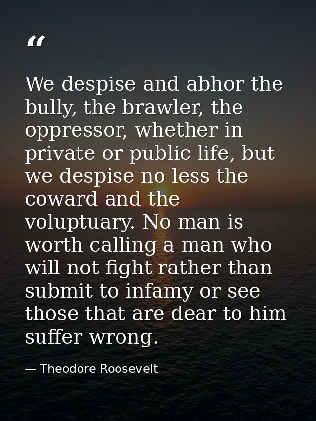 We despise and abhor the bully, the brawler, the oppressor, whether in private or public life, but we despise no less th — Theodore Roosevelt