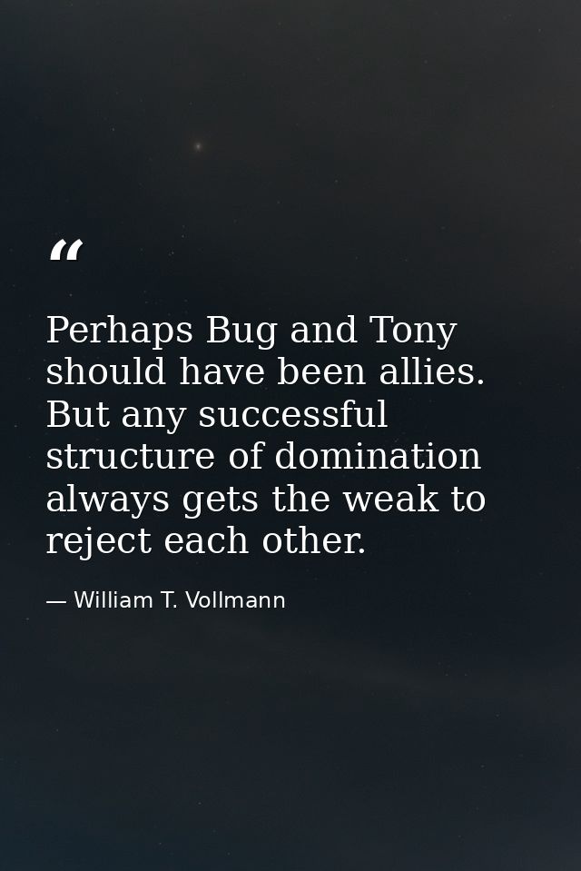 Perhaps Bug and Tony should have been allies. But any successful structure of domination always gets the weak to reject  — William T. Vollmann