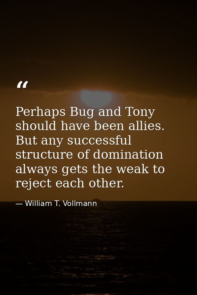 Perhaps Bug and Tony should have been allies. But any successful structure of domination always gets the weak to reject  — William T. Vollmann