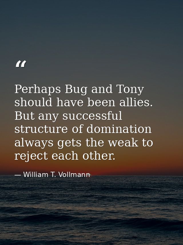 Perhaps Bug and Tony should have been allies. But any successful structure of domination always gets the weak to reject  — William T. Vollmann