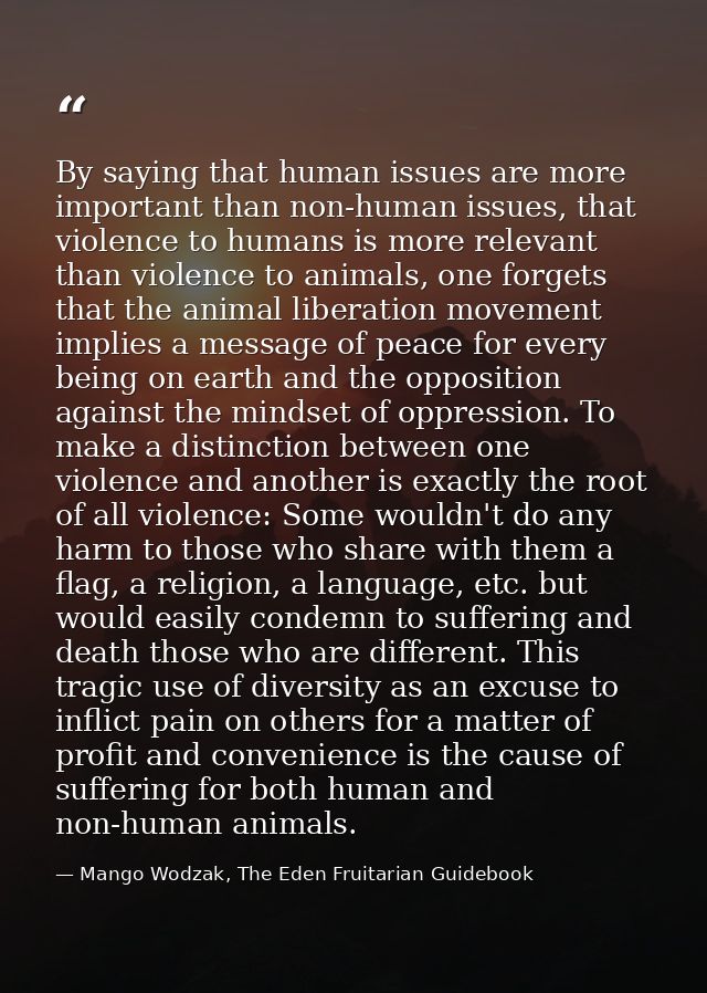 By saying that human issues are more important than non-human issues, that violence to humans is more relevant than viol — Mango Wodzak, The Eden Fruitarian Guidebook