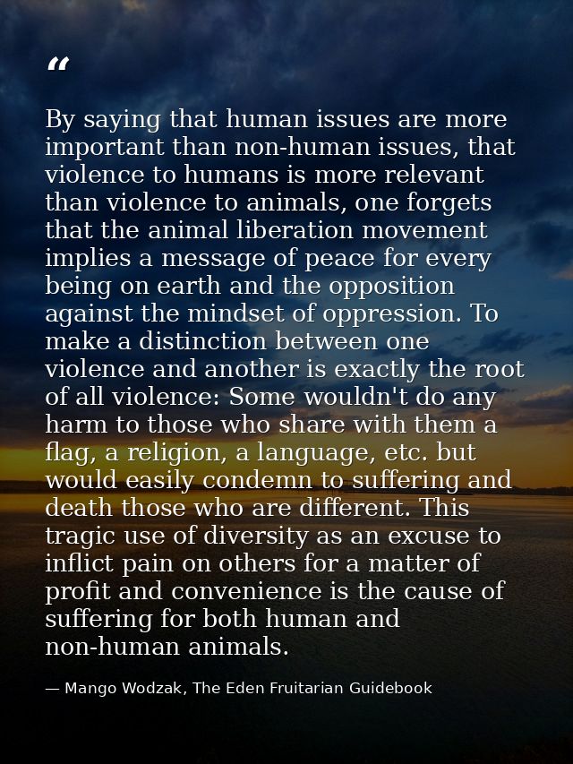 By saying that human issues are more important than non-human issues, that violence to humans is more relevant than viol — Mango Wodzak, The Eden Fruitarian Guidebook