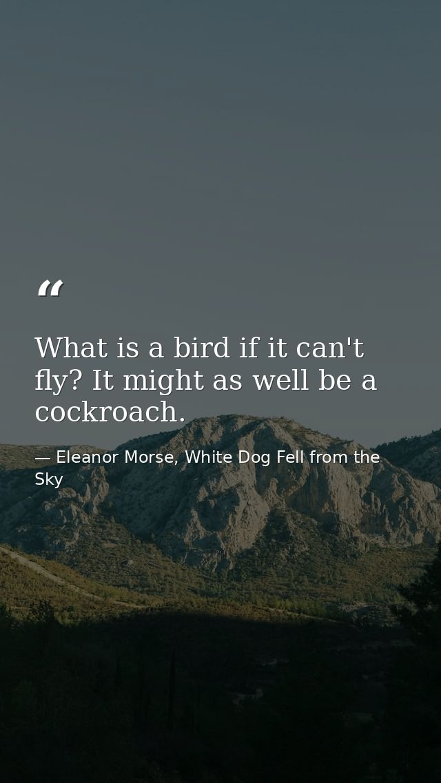 What is a bird if it can't fly? It might as well be a cockroach. — Eleanor Morse, White Dog Fell from the Sky