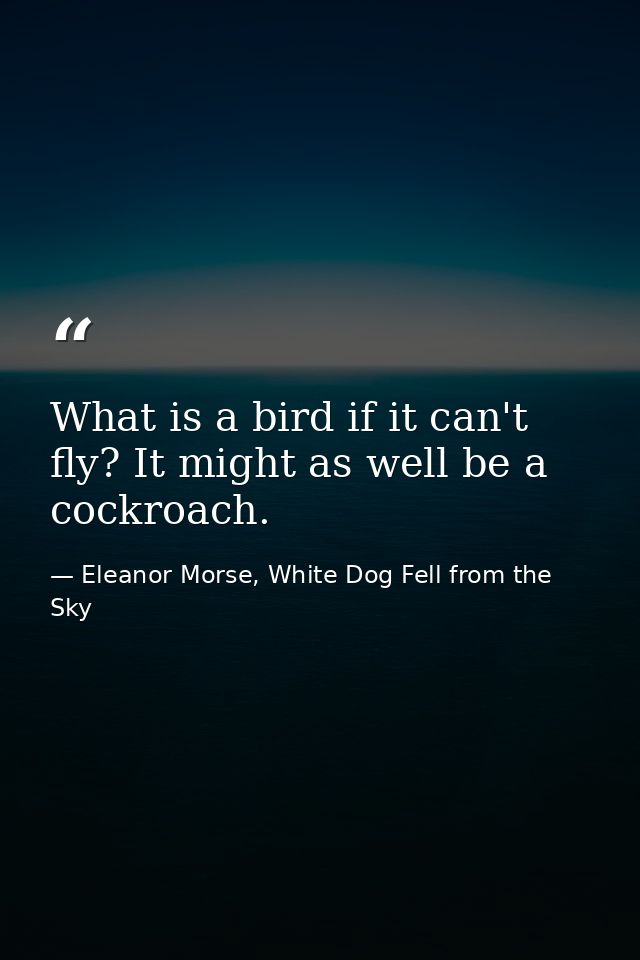 What is a bird if it can't fly? It might as well be a cockroach. — Eleanor Morse, White Dog Fell from the Sky