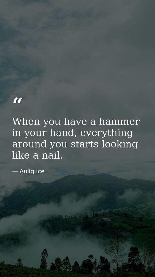 When you have a hammer in your hand, everything around you starts looking like a nail. — Auliq Ice