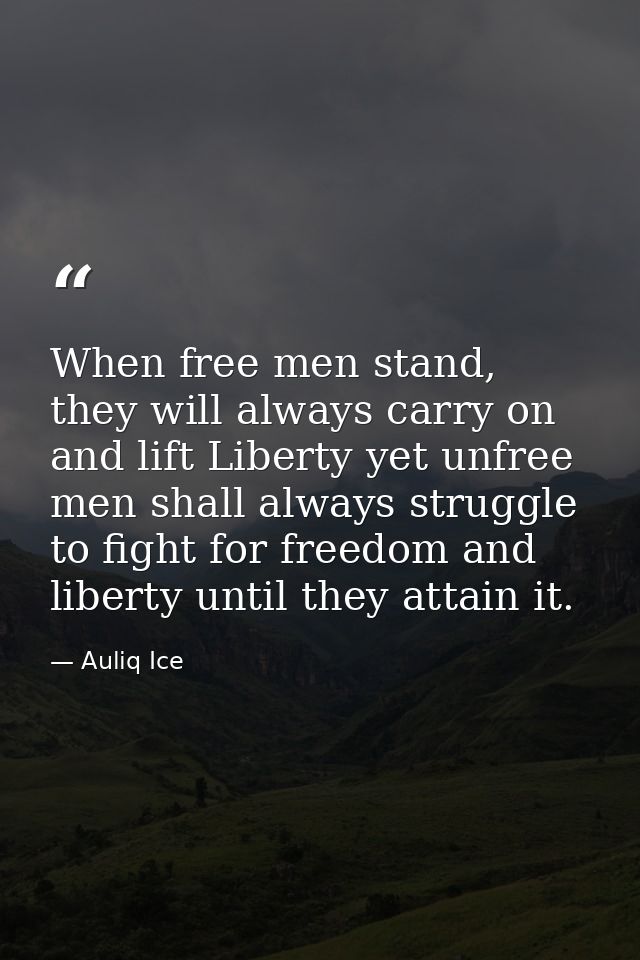 When free men stand, they will always carry on and lift Liberty yet unfree men shall always struggle to fight for freedo — Auliq Ice