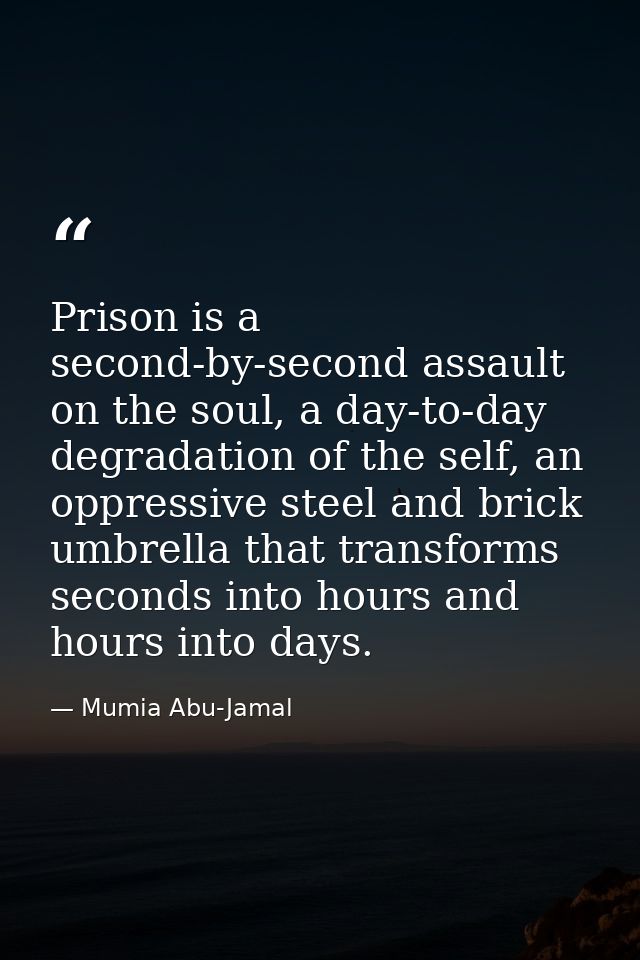 Prison is a second-by-second assault on the soul, a day-to-day degradation of the self, an oppressive steel and brick um — Mumia Abu-Jamal